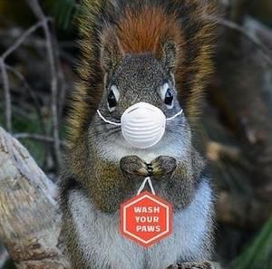 Meet your Posher, Annette